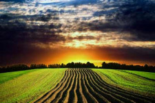 Своевременная обработка почвы - залог хорошего урожая