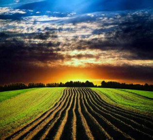 Своевременная обработка почвы — залог хорошего урожая