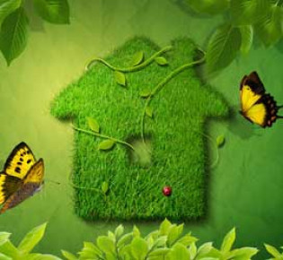 Фитодизайн: делаем дом зеленым