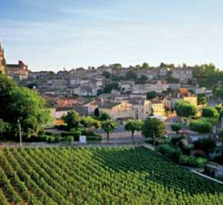 Сорта вин региона Бордо