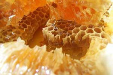 Прополис - продукция пчел
