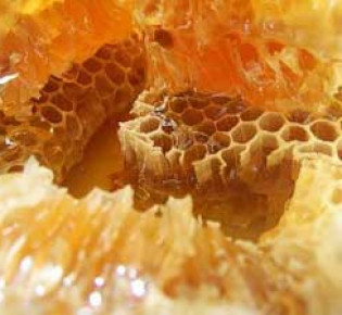 Прополис — продукция пчел
