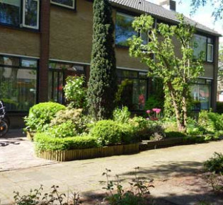 Голландский сад и ландшафтный дизайн