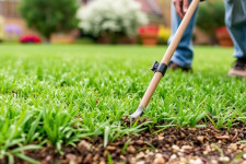 Посев газона: как добиться ровного, густого покрытия без лишней мороки