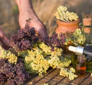 О эфирных маслах и эссенциях лекарственных растений