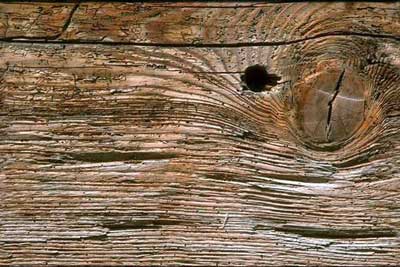 древесина,породы древесины