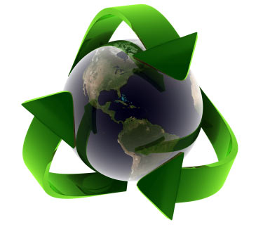 экология,экология окружающей среды,экосистема,экологическая система