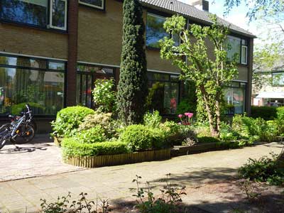 голландский сад,сады голландского стиля